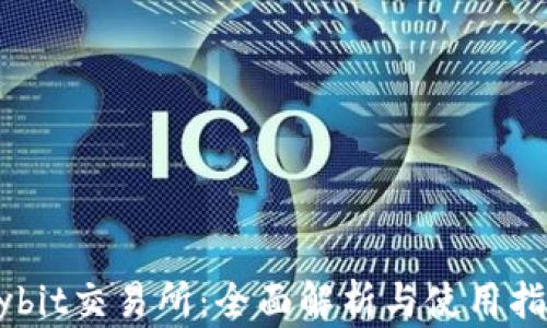 
Bybit交易所：全面解析与使用指南