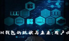 fioatiIM钱包的现状与未来：用户必读指南